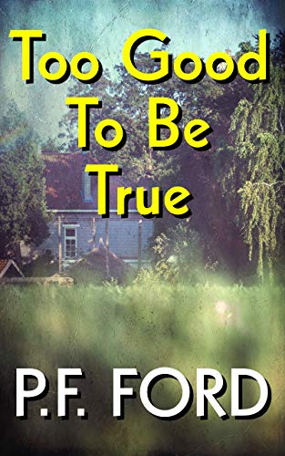 Too Good To Be True book cover