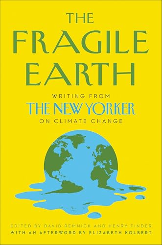 The Fragile Earth cover