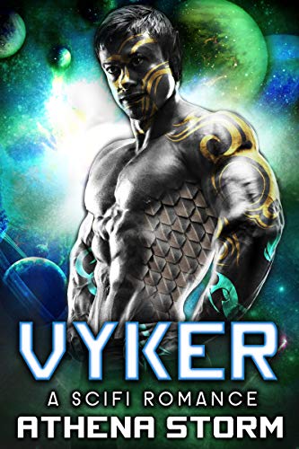 Vyker book cover