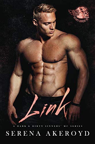 Link book cover