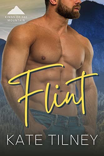 Flint book cover