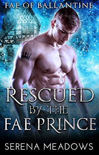 Rescued by the Fae Prince book cover