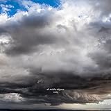 All Visible Objects (2020)