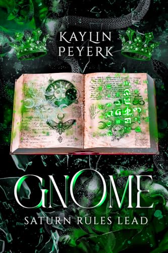 High Fae Academy: Year Three book cover