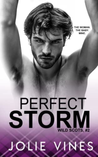 Perfect Storm book cover