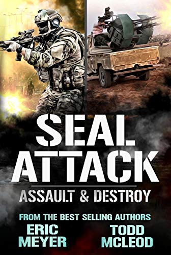 Assault & Destroy book cover