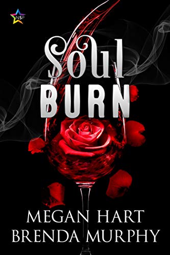 Soul Burn book cover