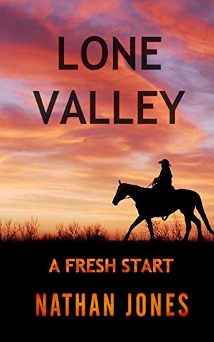 Lone Valley book cover