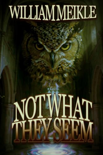 Not What They Seem book cover