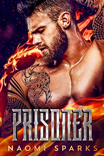 Prisoner book cover