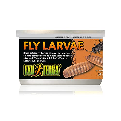 Exo Terra Specialty Reptile Food, Canned Black Soldier Fly Larvae for Reptiles