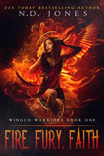 Fire, Fury, Faith book cover