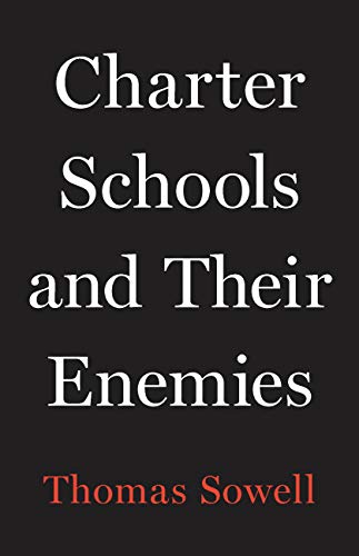 Charter Schools and Their Enemies book cover