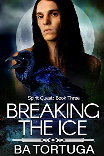 Breaking the Ice book cover