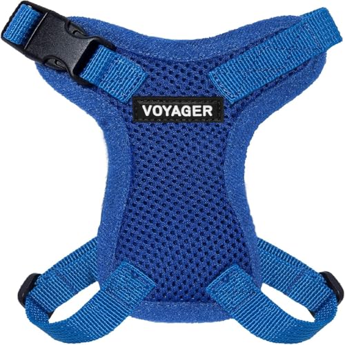 Voyager Step-in Lock Cat Harness and Reflective Cat Leash with Neoprene Handle by Best Pet Supplies - Supports Small, Medium and Large Breed Cats, Royal Blue, size XXS - 5ft