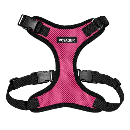Best Pet Supplies Voyager Step-In Lock Dog Harness - Adjustable Step-In Vest Harness for Small and Large Dogs - Fuchsia, Large