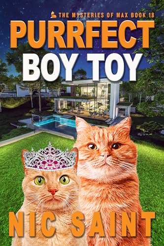 Purrfect Boy Toy book cover
