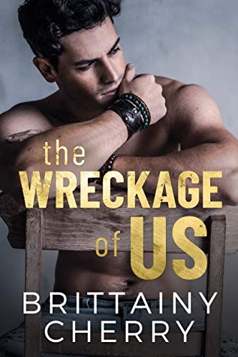The Wreckage of Us book cover