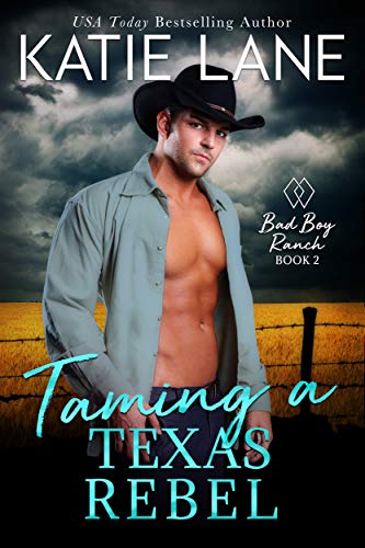 Taming a Texas Rebel cover