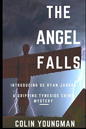The Angel Falls book cover