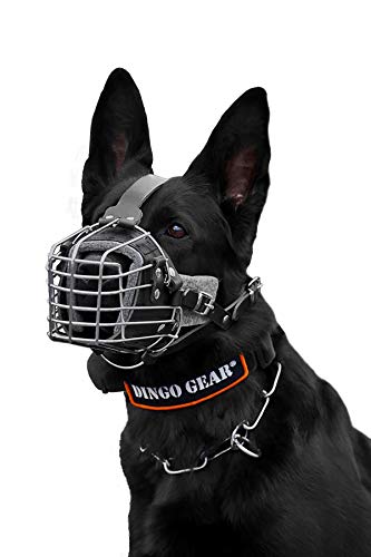 DINGO GEAR Dog Training Muzzle, Military K9 Agitation Metal Muzzle for Working Dogs S03003