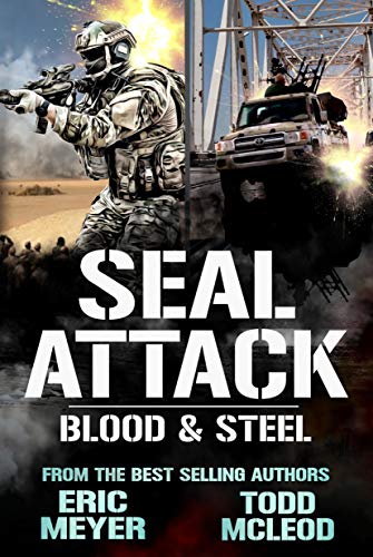 Blood & Steel book cover