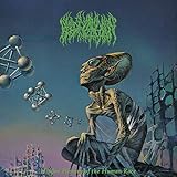 Hidden History Of The Human Race (2019)