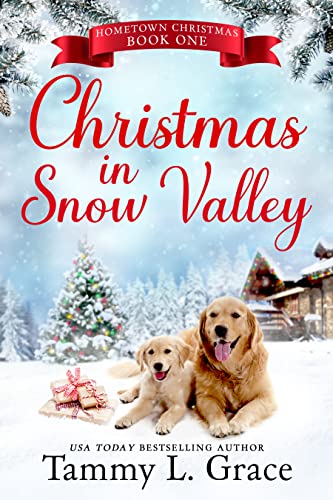 Christmas in Snow Valley cover