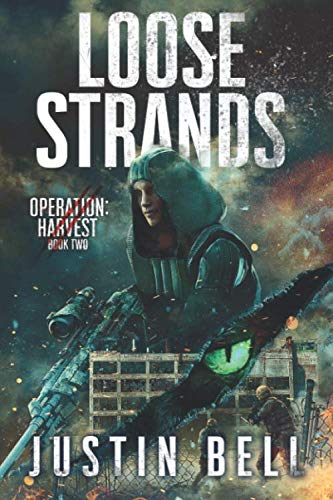 Loose Strands book cover