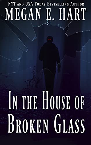 In the House of Broken Glass book cover