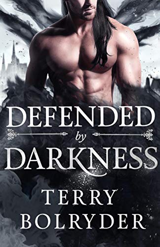 Defended by Darkness book cover