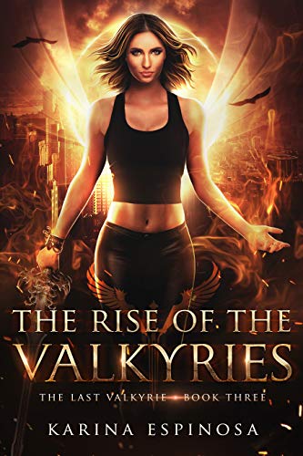 The Rise of the Valkyries book cover