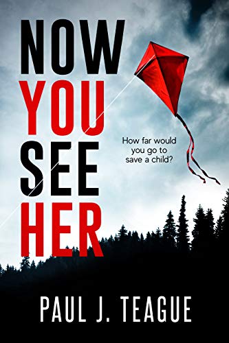Now You See Her book cover