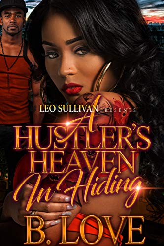 A Hustler's Heaven in Hiding book cover