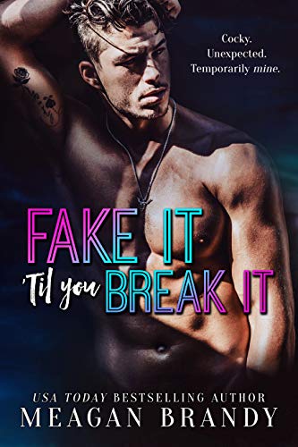 Fake It 'Til You Break It book cover
