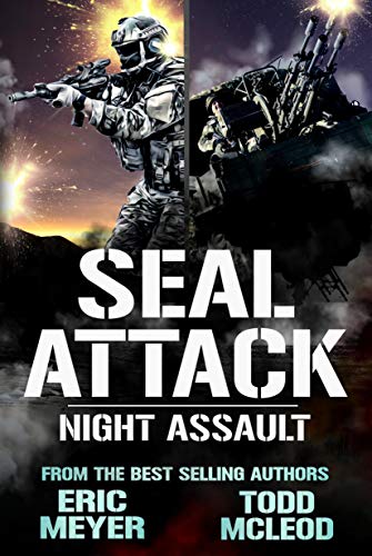 Night Assault book cover