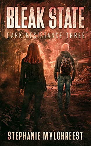 Bleak State book cover