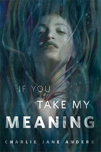 If You Take My Meaning book cover