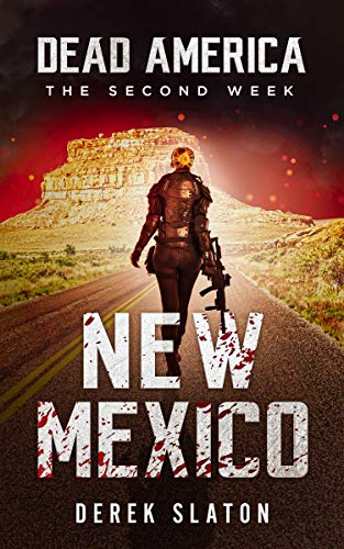 New Mexico book cover
