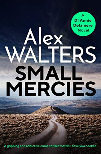 Small Mercies book cover