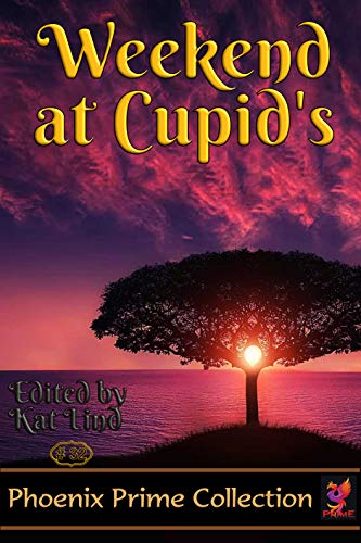Weekend at Cupid's book cover