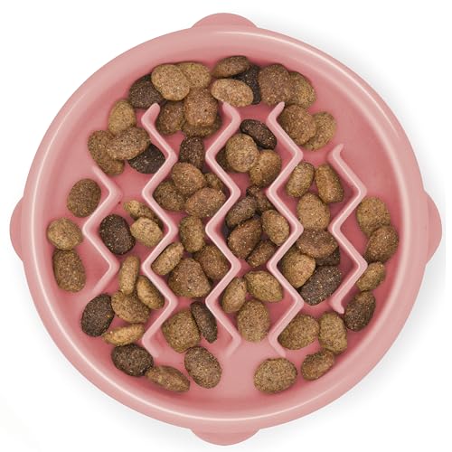 Outward Hound Small Fun Feeder Slow Bowl, Puzzle for Fast Eaters, Puppies, Cats & Small Dogs, Wet or Dry Food, Helps Prevent Bloat & Aid Digestion, 3/4 Cup Capacity, Non-Slip, Made Without BPA, Pink