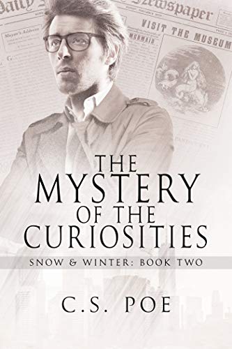 The Mystery of the Curiosities book cover