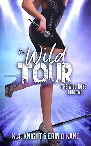 The Wild Tour cover