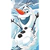 オラフ ディズニー - オラフ iPhoneSE/5s/5c/5(640×1136)壁紙 307925