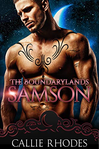 Samson book cover