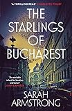 The Starlings of Bucharest