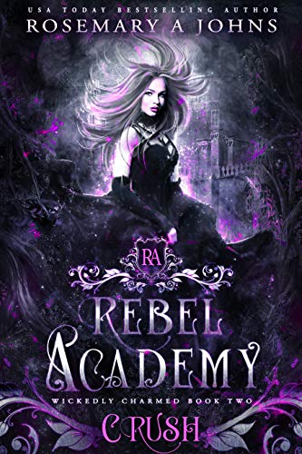 Rebel Academy: Crush book cover