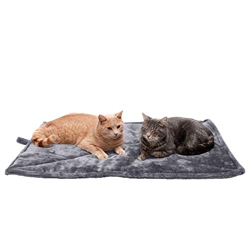 large heated cat bed
