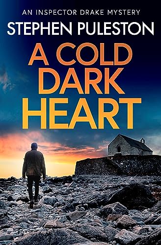 A Cold Dark Heart book cover
